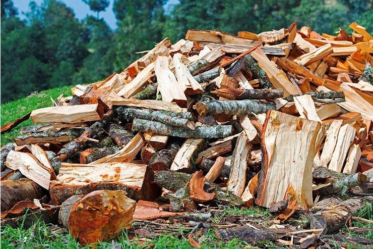 Verkauf Brennholz sonstiges Brennholz - Brennholz & Pellets - Bild 1