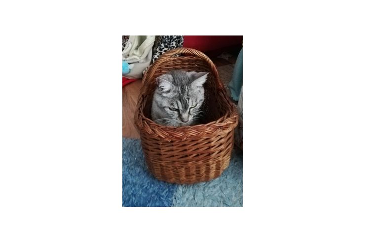 Suche Dame kuscheln - Freundschaft & Unternehmungen - Bild 1