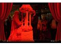 Foto Videograf Kameramann - Musik, Foto & Kunst - Bild 6