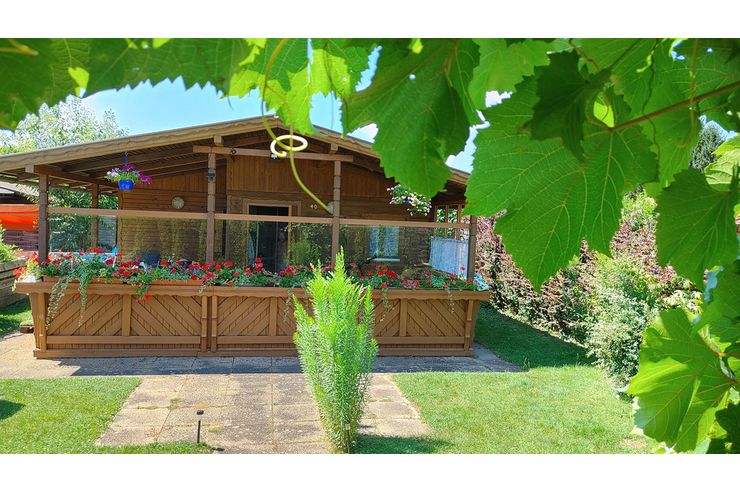 Schrebergartenhaus - Haus kaufen - Bild 1