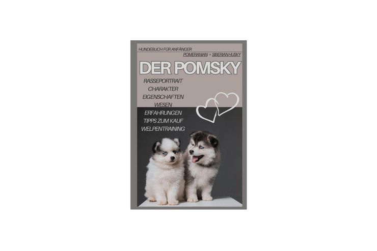 Designerhund Der Pomsky Hundebuch Hybridhund - Futter & Npfe - Bild 1