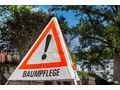 Ihre Profis Baumschnitt - Gartendekoraktion - Bild 4
