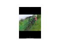 2x Haibike Doppelpack - Elektro Fahrrder (E-Bikes) - Bild 3
