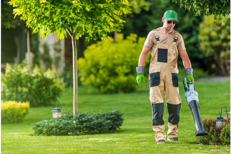 Gartenpflege Dienstleistung - Pflege & Betreuung - Bild 1