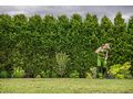Gartenpflege Dienstleistung - Pflege & Betreuung - Bild 3
