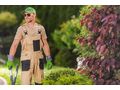 Gartenpflege Dienstleistung - Pflege & Betreuung - Bild 4