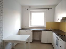 Schne Wohnung Freistadt - Wohnung mieten - Bild 1