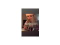 Massage Puff Zuhlter Problem - Erotik Escort - Bild 5