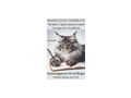 Maine Coon Kitten Katzentagebuch Das Buch - Rassekatzen - Bild 1