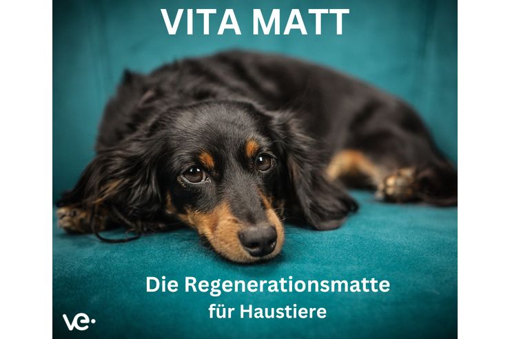 Regenerationsmatte Haustiere - Krbe, Betten & Decken - Bild 1