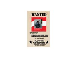 Landtagskandidatur Verschenken - zu Verschenken - Bild 1