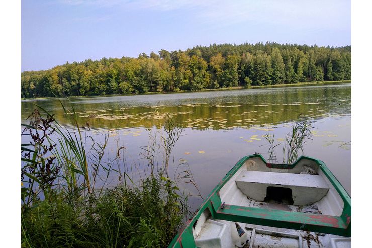 Urlaub Masuren Ferienhaus Angelurlaub - Polen - Bild 1