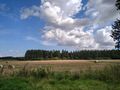 Urlaub Masuren Ferienhaus Angelurlaub - Polen - Bild 10