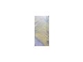 Guppys - Fische - Bild 1