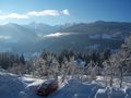 Tolle Appartements Ramsau Dachstein - Veranstaltungen - Bild 6