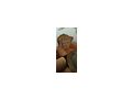 Couch Sesseln Tisch Barockstil - Sthle & Sitzbnke - Bild 3