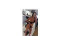 Kendy Neue Adresse Raaber Bahn Gasse 9 A - Sie sucht Ihn - Bild 1