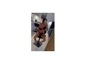 Kendy Neue Adresse Raaber Bahn Gasse 9 A - Sie sucht Ihn - Bild 3
