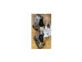 BMW R1300 GS Ventildeckelschutz - Motorrad-Teile - Bild 1
