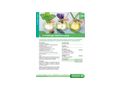 Diplomlehrgang Aromatologie Aromapflege 64 - Beauty & Gesundheit - Bild 2