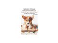Welsh Corgi Buch Welpen Tagebuch Vorlage - Rassehunde - Bild 1