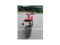 Ducati - Ducati - Bild 6