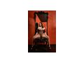 ESCORTGIRLS WIEN VIENNAS BEST ESCORTSERVICE - Erotik Escort - Bild 2
