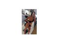 Junge Sexy Kendy Hauffgasse 19 A - Sie sucht Ihn - Bild 1
