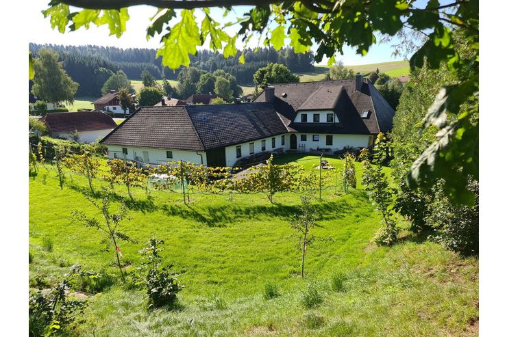 Privat od gewerblich eigenst Whg Gartenz - Wohnung mieten - Bild 1
