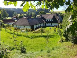 Privat od gewerblich eigenst Whg Gartenz - Wohnung mieten - Bild 1