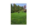 Privat od gewerblich eigenst Whg Gartenz - Wohnung mieten - Bild 2
