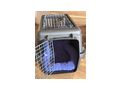 Katzenbaby dringend zuhause - Mischlingskatzen - Bild 11