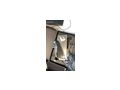 PC Hardware Software Fehleranalyse - PC & Multimedia - Bild 4