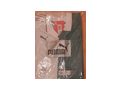 Puma Trikot kurzarm langarm diverse Gren - Fuball - Bild 2