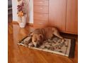 Hares DRINGEND Zuhause - Mischlingshunde - Bild 5