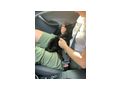 6M Kater JACKIE - Mischlingskatzen - Bild 8
