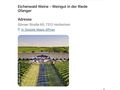2 Tickets Eichenwald Open Air 06 09 2024 - Konzerte - Bild 4
