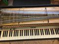 Fender Rhodes Mark I - Weitere Instrumente - Bild 3