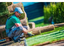 Rasen Verlegen Secheli Gartengestaltung - Gartendekoraktion - Bild 1