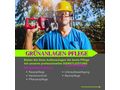 Gartenservice Winterdienst Entrmpeln Poolserve - Reparaturen & Handwerker - Bild 3