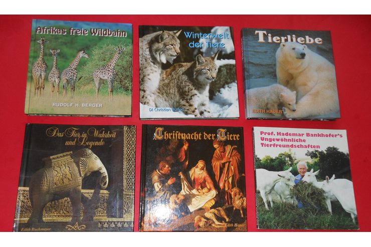 b�cher - B�cher & Zeitungen - Bild 1