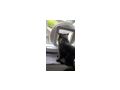 Finderlohn 500 Kater vermisst 6840 G�tzis - Mischlingskatzen - Bild 5