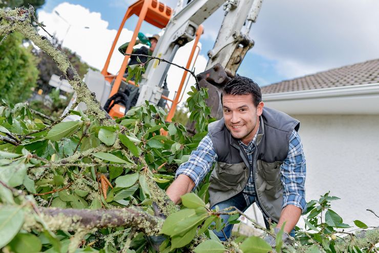 Gartenpflege Wien Umgebung Secheli GmbH - Gartendekoraktion - Bild 1