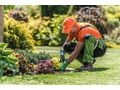 Professionelle Gartenpflege Wien Umgebung - Gartendekoraktion - Bild 2