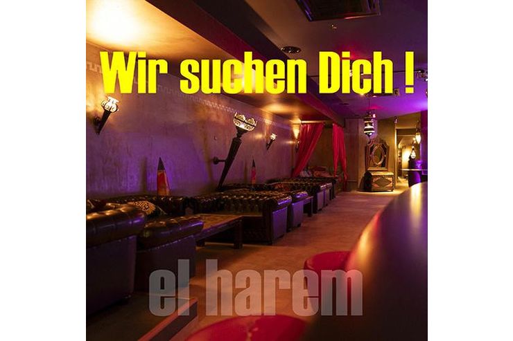 Club El Harem Schweiz - Jobs - Bild 1