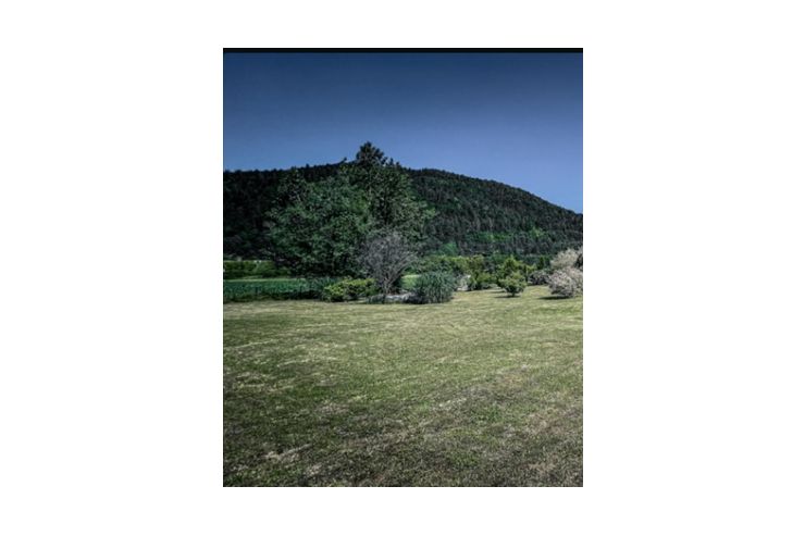 Grundst�ck - Grundst�ck kaufen - Bild 1