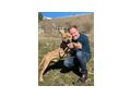 Hares DRINGEND Zuhause - Mischlingshunde - Bild 7