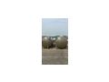 Pufferspeicher Puffer Gro�speicher 7000 Liter - Holz- & Pelletheizung - Bild 4