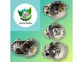 Getriebe T5 1 9 TDI 5 Gang JQT JQS JQQ JQU - Zubeh�r - Bild 1