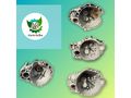 Getriebe T5 1 9 TDI 5 Gang JQT JQS JQQ JQU - Zubeh�r - Bild 2